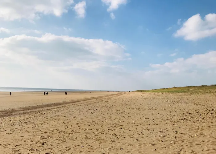 아파트 T2 Des Pins, Ocean Et Soleil *