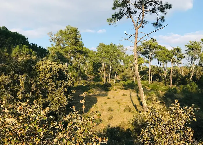 아파트 T2 Des Pins, Ocean Et Soleil